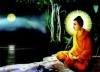 Lược sử Đức Phật Thích Ca Mâu Ni đản sanh & chứng thành đạo quả