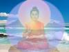 Thiện và Bất Thiện Trong Phật Giáo