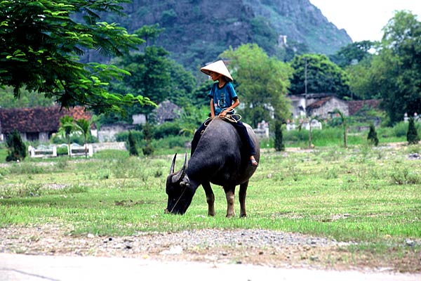 Rural-Vietnam.jpg