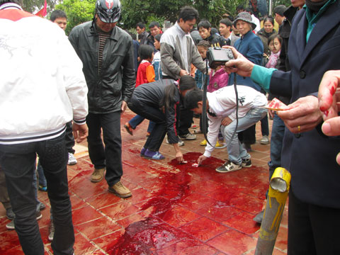 Sau khi thủ đao chém lợn, dân làng chen chúc nhau lấy tiền quệt một chút huyết lợn mang về thờ để cầu may.