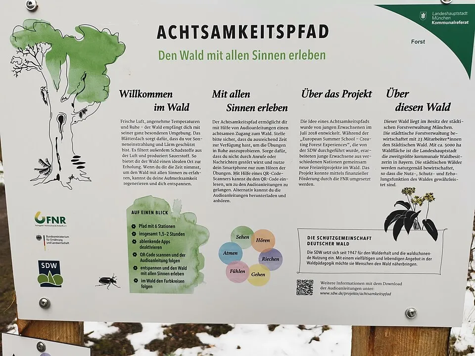 Hình minh họa: Chuyển Hóa Cảm Xúc Trong 3 Phút: Kỹ Thuật Chánh Niệm Để Kiểm Soát Stress Tức Thì