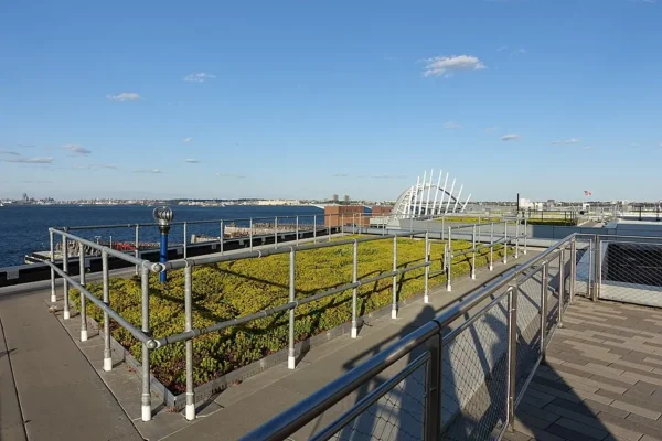 Hình minh họa: Lối Sống Xanh Bền Vững: Kết Nối Ăn Chay, Tiết Kiệm Năng Lượng và Bảo Vệ Môi Trường