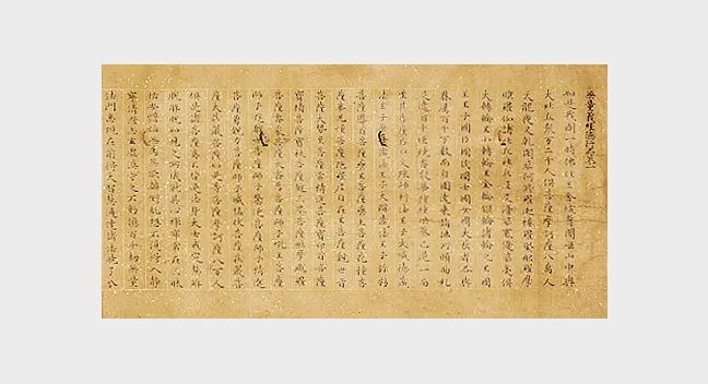 Hình minh họa: Thiền định dựa trên Kinh Vô Lượng Nghĩa thay đổi não bộ như thế nào theo nghiên cứu 2025-2026?